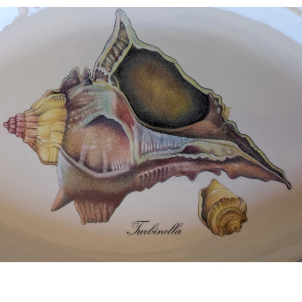 Ceramica Due Torri Italy Fish Platter Turbinella Shell Beach Coastal nautical
